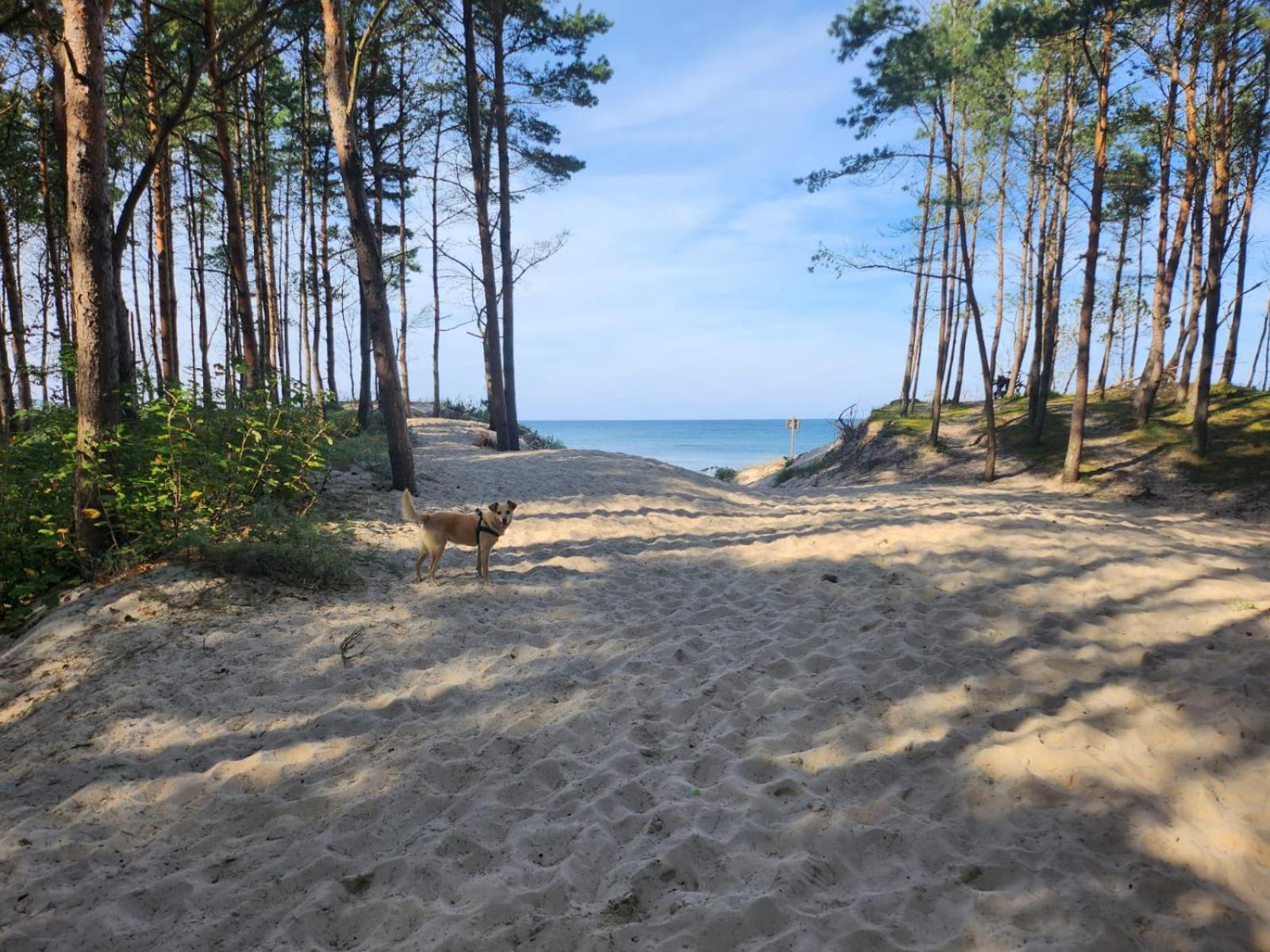 Domki Letniskowe U Zuni Chłopy 外观 照片